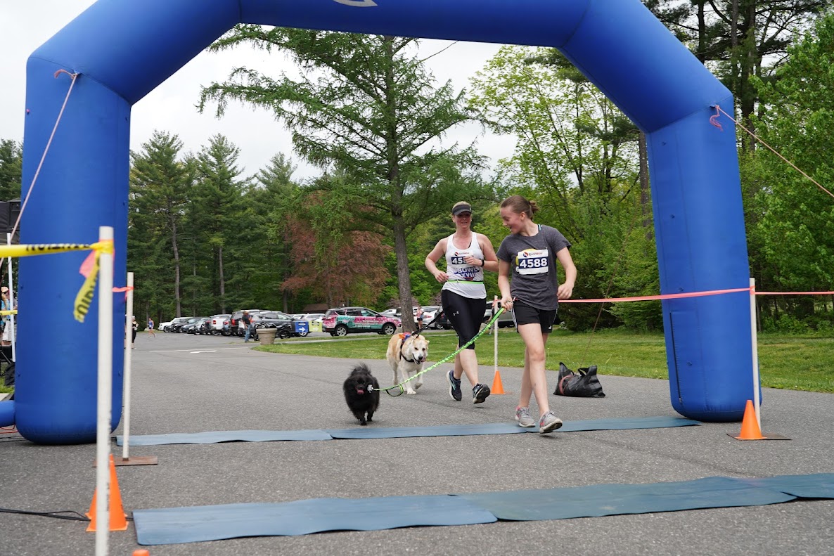 Will Run for Cookies A Winner! Dakin Humane Society